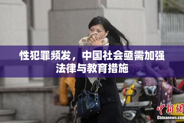 性犯罪频发，中国社会亟需加强法律与教育措施