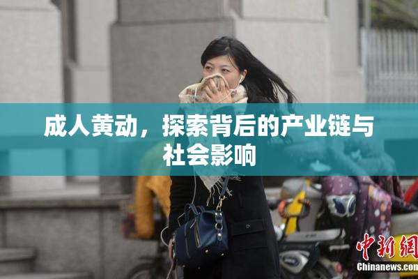 成人黄动，探索背后的产业链与社会影响