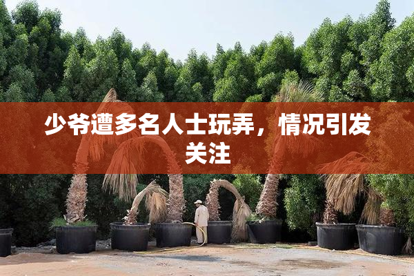 少爷遭多名人士玩弄，情况引发关注