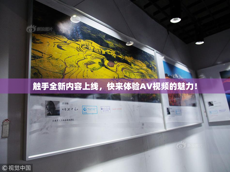 触手全新内容上线，快来体验AV视频的魅力！