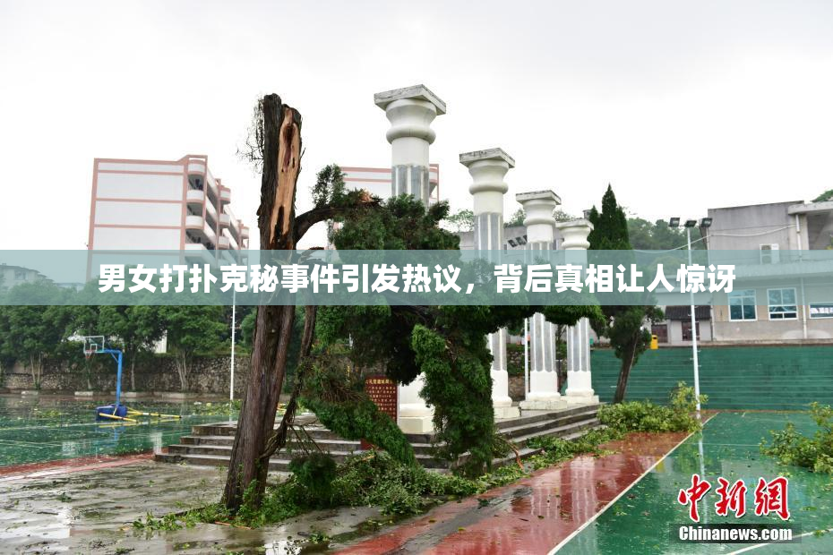 男女打扑克秘事件引发热议，背后真相让人惊讶