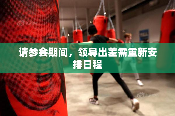 请参会期间，领导出差需重新安排日程