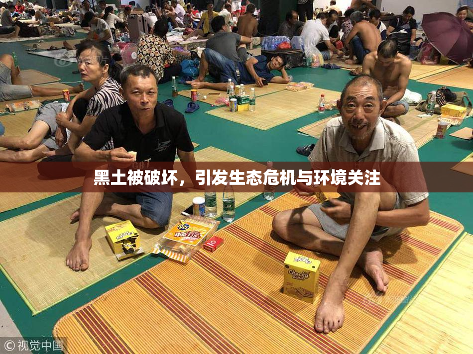 黑土被破坏，引发生态危机与环境关注