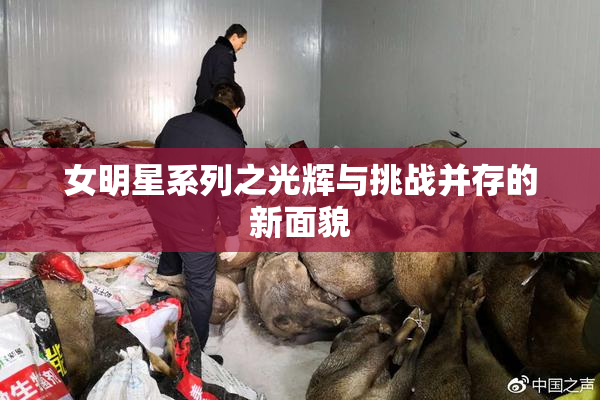 女明星系列之光辉与挑战并存的新面貌