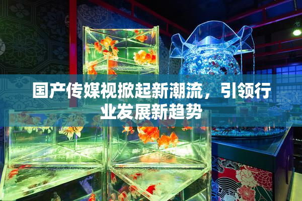 国产传媒视掀起新潮流，引领行业发展新趋势