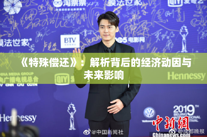 《特殊偿还》：解析背后的经济动因与未来影响