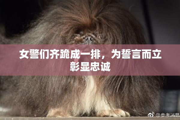 女警们齐跪成一排，为誓言而立彰显忠诚