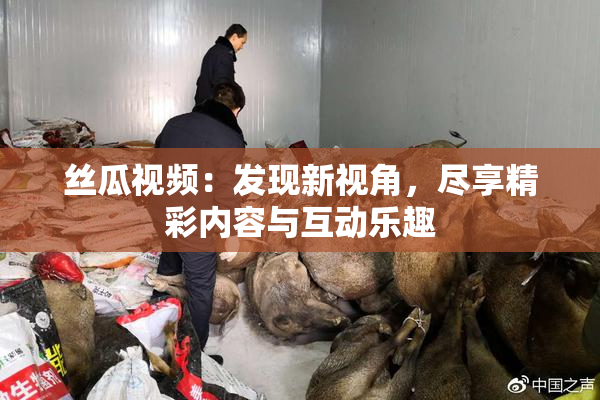 丝瓜视频：发现新视角，尽享精彩内容与互动乐趣