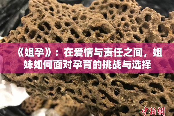 《姐孕》：在爱情与责任之间，姐妹如何面对孕育的挑战与选择