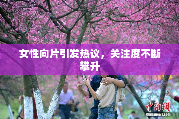 女性向片引发热议，关注度不断攀升