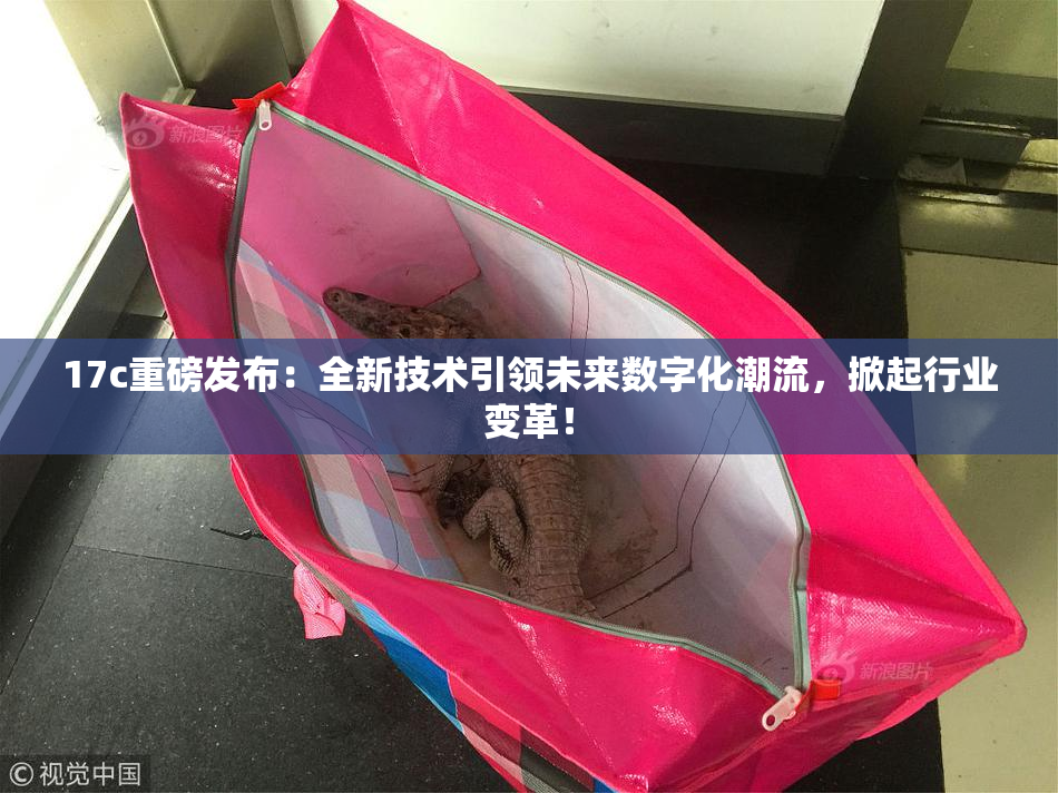 17c重磅发布：全新技术引领未来数字化潮流，掀起行业变革！