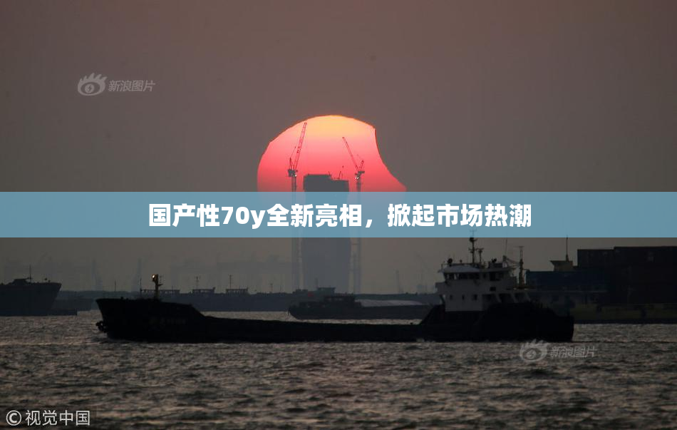 国产性70y全新亮相，掀起市场热潮