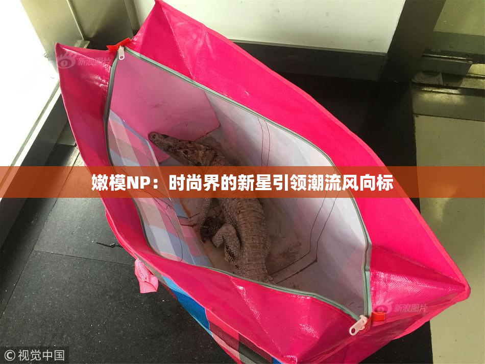 嫩模NP：时尚界的新星引领潮流风向标