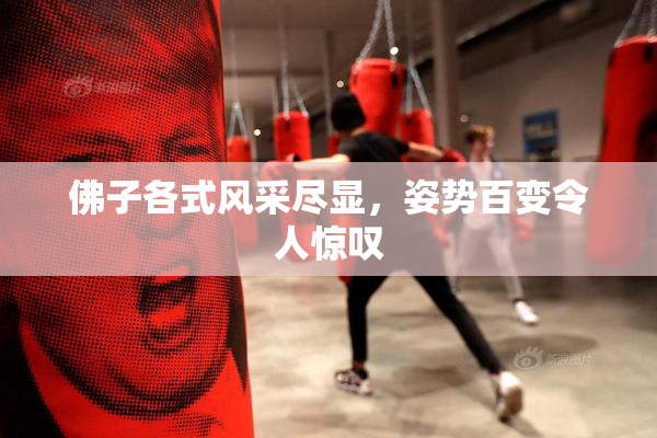佛子各式风采尽显，姿势百变令人惊叹