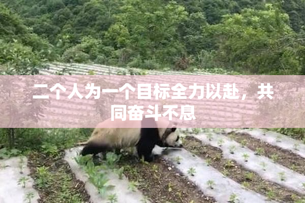二个人为一个目标全力以赴，共同奋斗不息