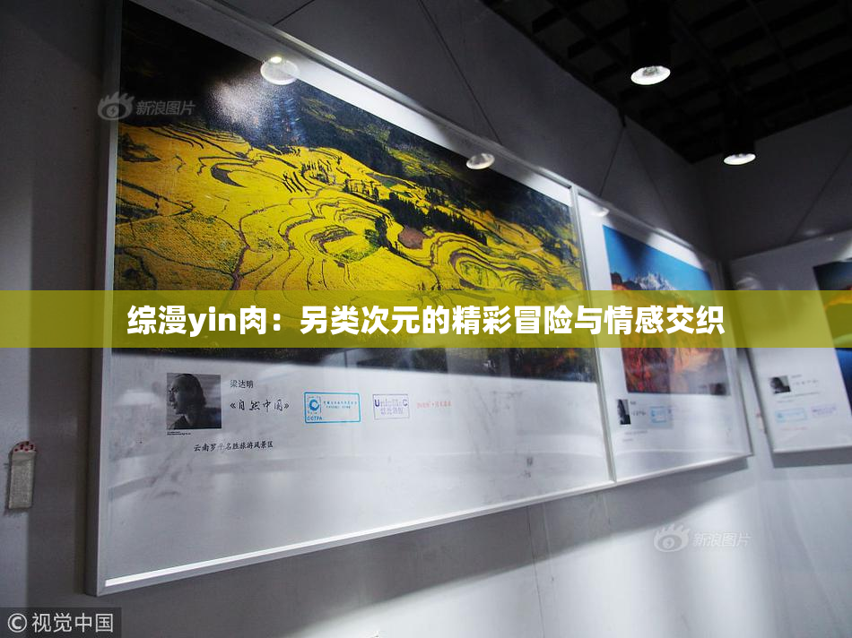 综漫yin肉：另类次元的精彩冒险与情感交织