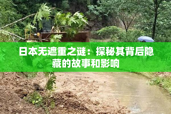 日本无遮重之谜：探秘其背后隐藏的故事和影响