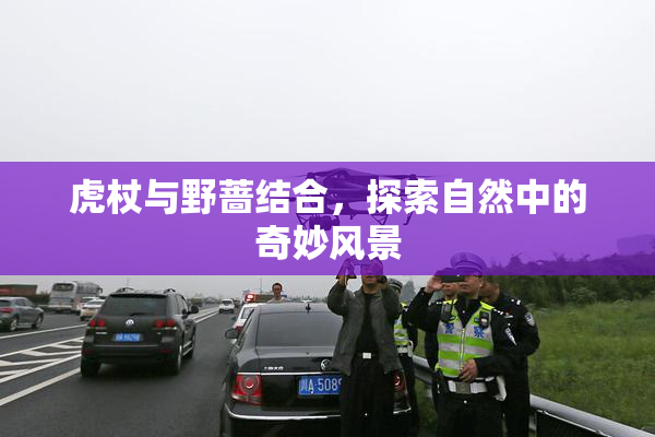 虎杖与野蔷结合，探索自然中的奇妙风景