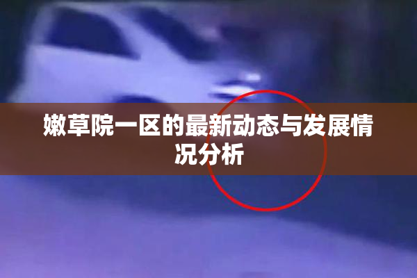 嫩草院一区的最新动态与发展情况分析