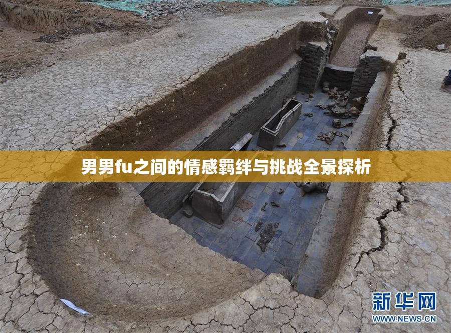 男男fu之间的情感羁绊与挑战全景探析