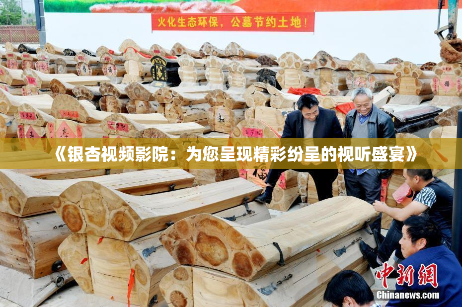 《银杏视频影院：为您呈现精彩纷呈的视听盛宴》