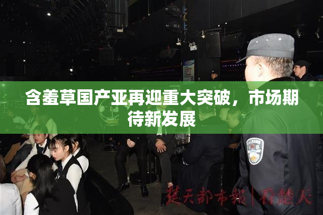 含羞草国产亚再迎重大突破，市场期待新发展