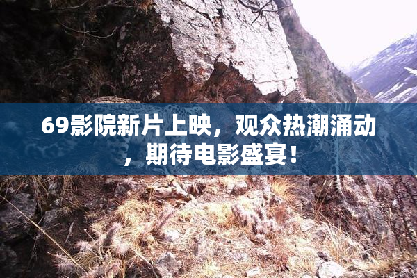 69影院新片上映，观众热潮涌动，期待电影盛宴！