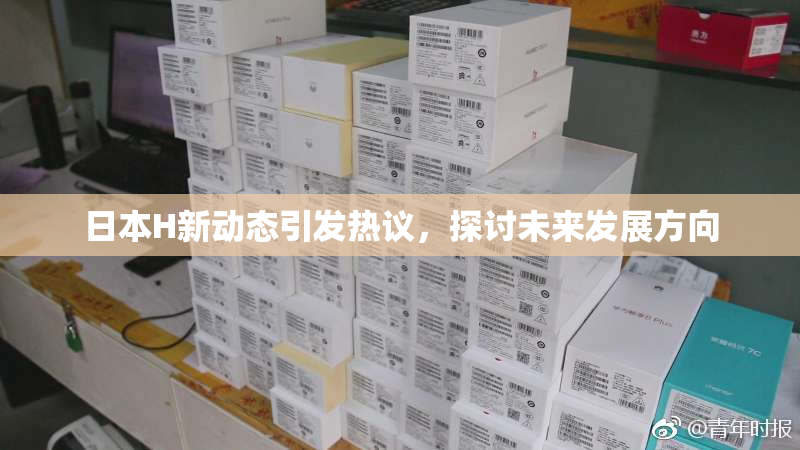 日本H新动态引发热议，探讨未来发展方向