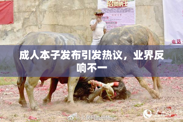 成人本子发布引发热议，业界反响不一
