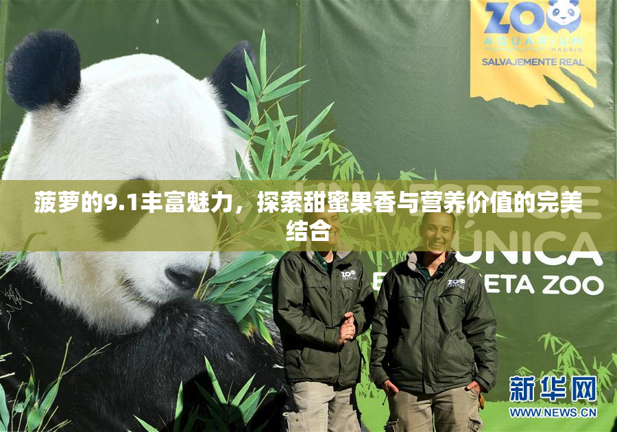 菠萝的9.1丰富魅力，探索甜蜜果香与营养价值的完美结合
