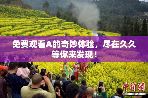 免费观看A的奇妙体验，尽在久久等你来发现！