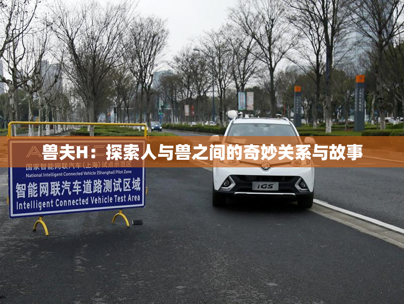 兽夫H：探索人与兽之间的奇妙关系与故事