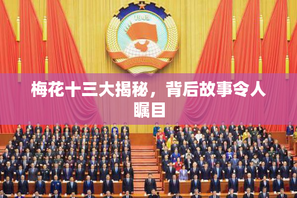 梅花十三大揭秘，背后故事令人瞩目