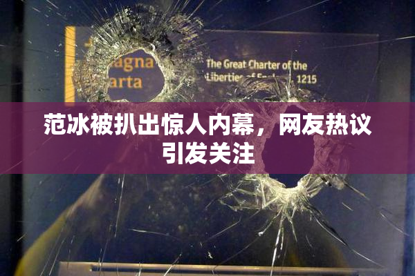 范冰被扒出惊人内幕，网友热议引发关注