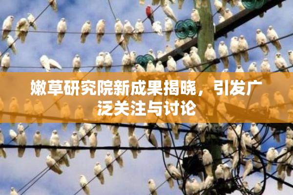 嫩草研究院新成果揭晓，引发广泛关注与讨论