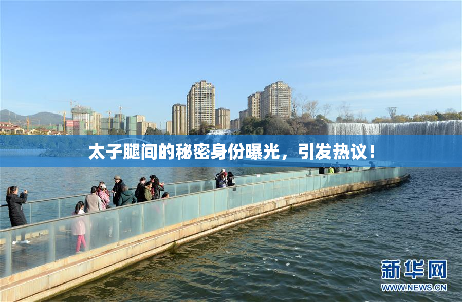 太子腿间的秘密身份曝光，引发热议！