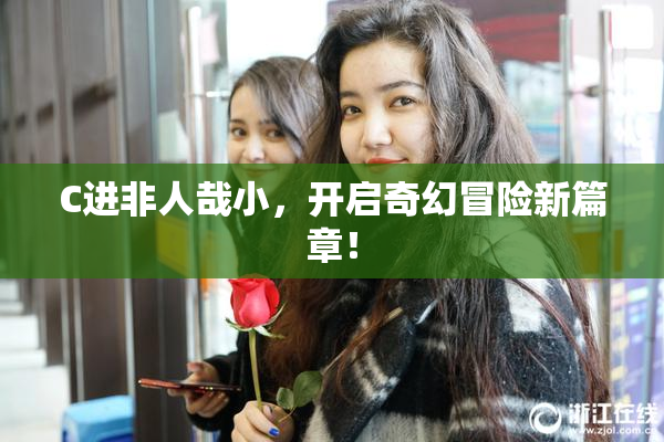 C进非人哉小，开启奇幻冒险新篇章！