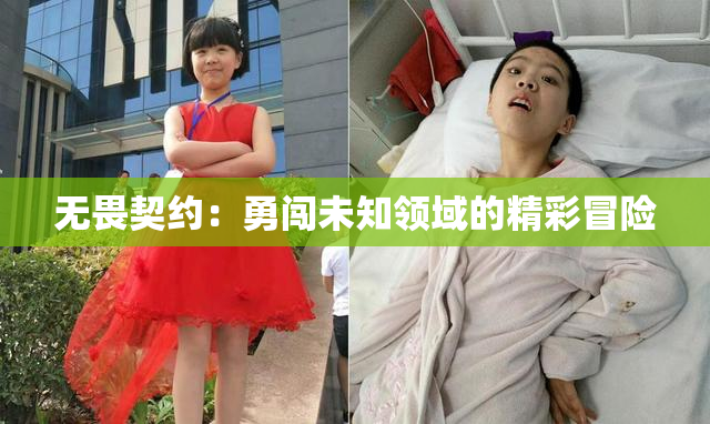 无畏契约：勇闯未知领域的精彩冒险