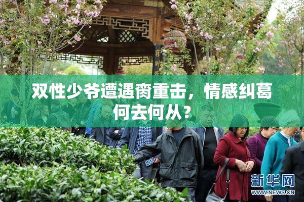双性少爷遭遇脔重击，情感纠葛何去何从？