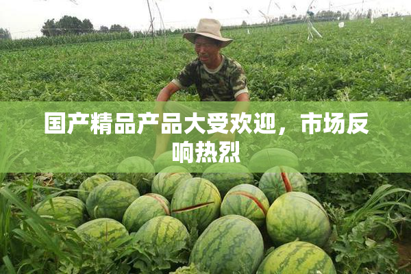 国产精品产品大受欢迎，市场反响热烈