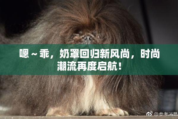 嗯～乖，奶罩回归新风尚，时尚潮流再度启航！