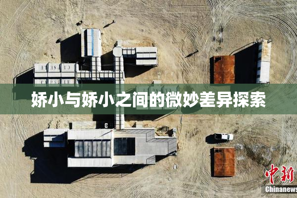 娇小与娇小之间的微妙差异探索