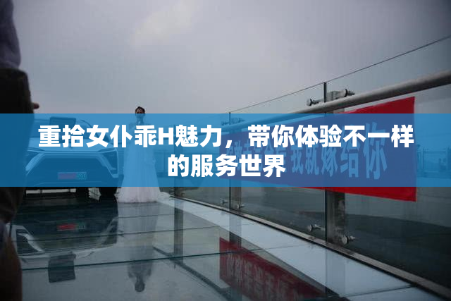 重拾女仆乖H魅力，带你体验不一样的服务世界
