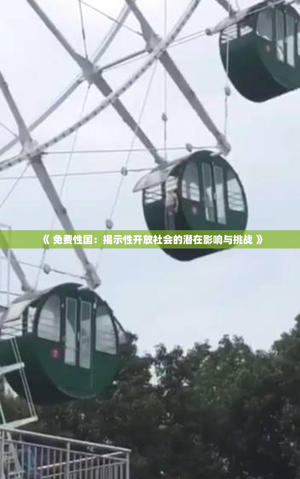 《 免费性国：揭示性开放社会的潜在影响与挑战 》