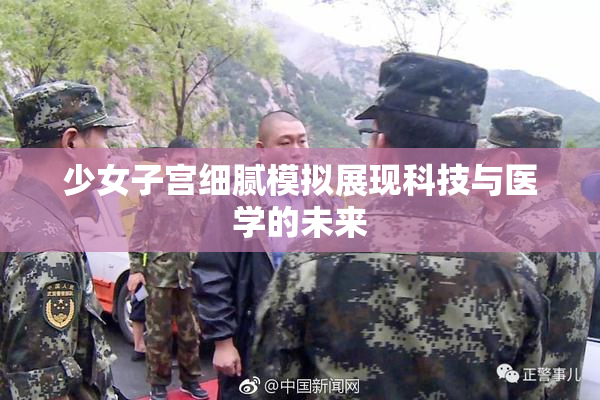 少女子宫细腻模拟展现科技与医学的未来