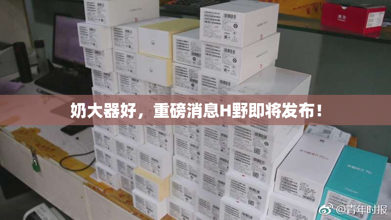 奶大器好，重磅消息H野即将发布！
