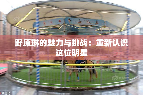 野原琳的魅力与挑战：重新认识这位明星