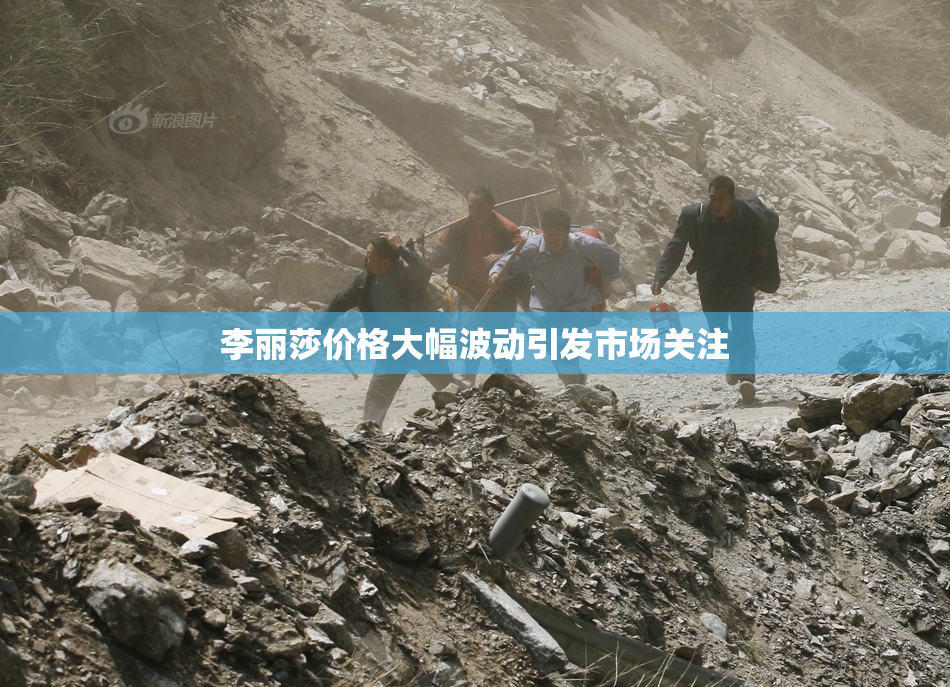 李丽莎价格大幅波动引发市场关注