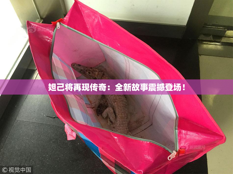 妲己将再现传奇：全新故事震撼登场！