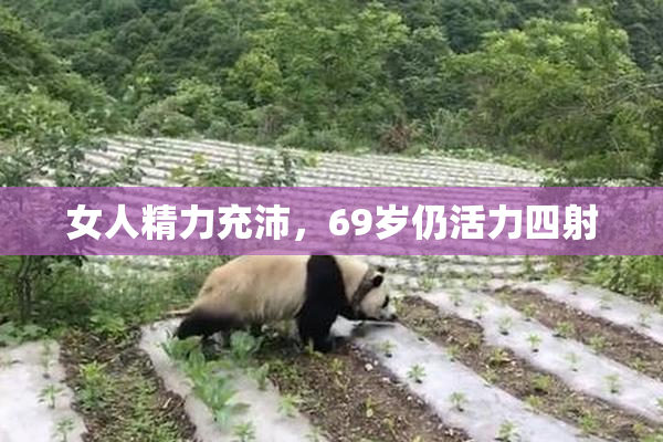 女人精力充沛，69岁仍活力四射